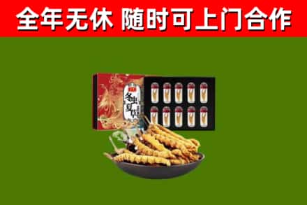 德州市回收冬虫夏草价格